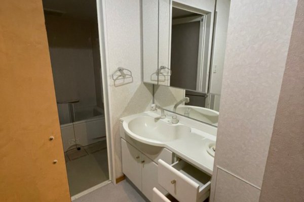 身支度がはかどる洗面化粧台