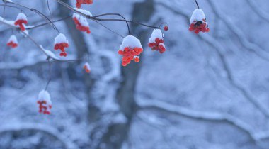 冬季休業のお知らせ