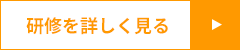 研修を詳しく見る