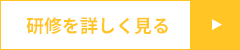 研修を詳しく見る
