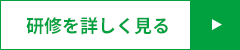 研修を詳しく見る