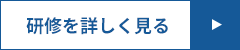 研修を詳しく見る